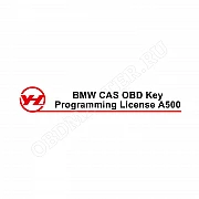 Лицензия A500 BMW CAS1-CAS4+ для ACDP