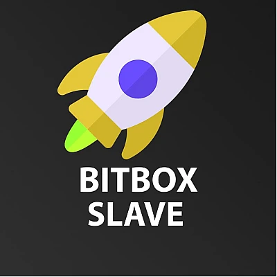 Slave лицензия BitBox Slave лицензия BitBox