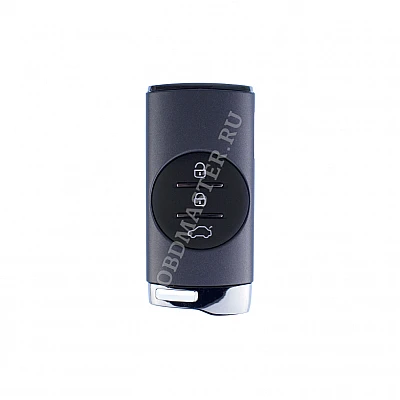 Ключ Exeed (Chery) ID47 (Gray) Ключ Exeed (Chery) ID47 (Gray)