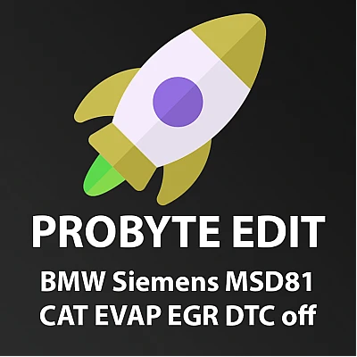 Модуль Full BMW Gasoline Siemens MSD81 CAT EVAP EGR DTC off Модуль Full BMW Gasoline Siemens MSD81 CAT EVAP EGR DTC off