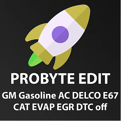 Модуль Full GM Gasoline AC DELCO E67 CAT EVAP EGR DTC off Модуль Full GM Gasoline AC DELCO E67 CAT EVAP EGR DTC off